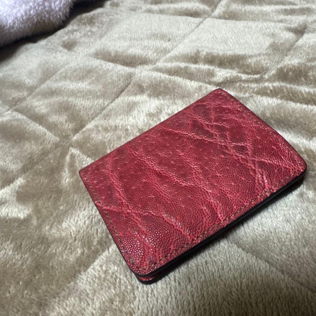 WILDSWANS kf-003 エレファント　ワイルドスワンズ