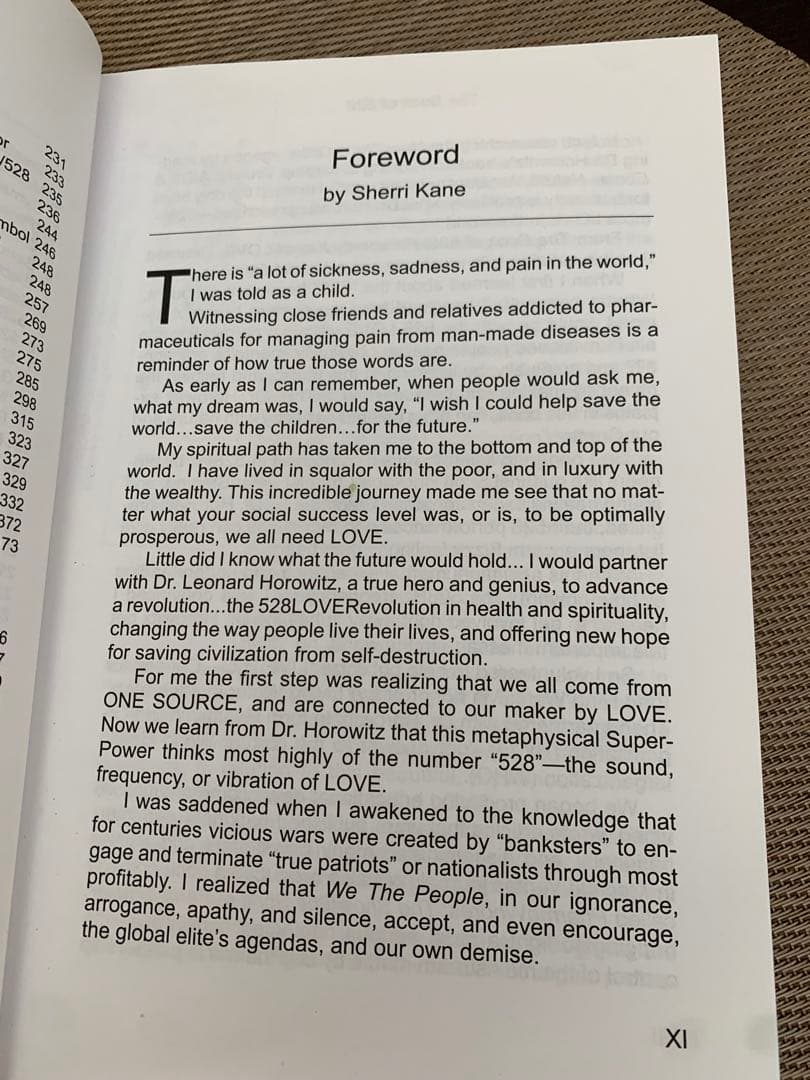 洋書 THE BOOK OF 528 Prosperity Key of LOVE