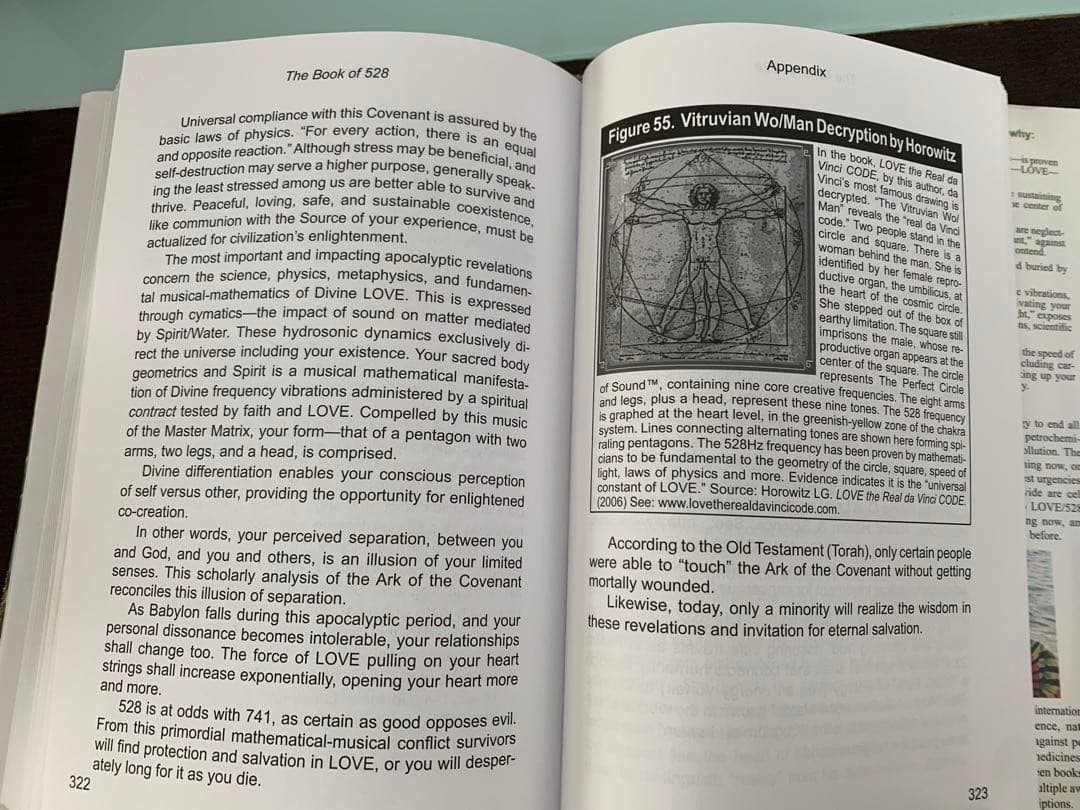 洋書 THE BOOK OF 528 Prosperity Key of LOVE