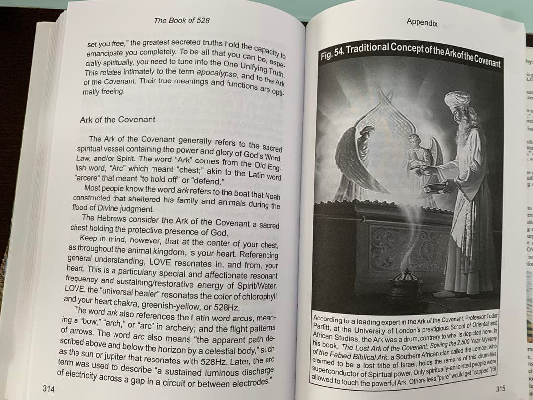 洋書 THE BOOK OF 528 Prosperity Key of LOVE