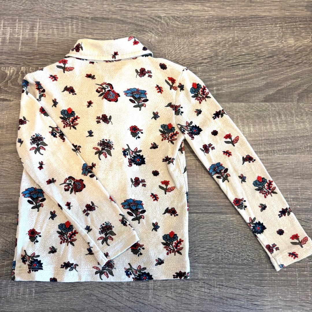 【Misha & Puff 】白毒花　貴族　3Y 【美品】