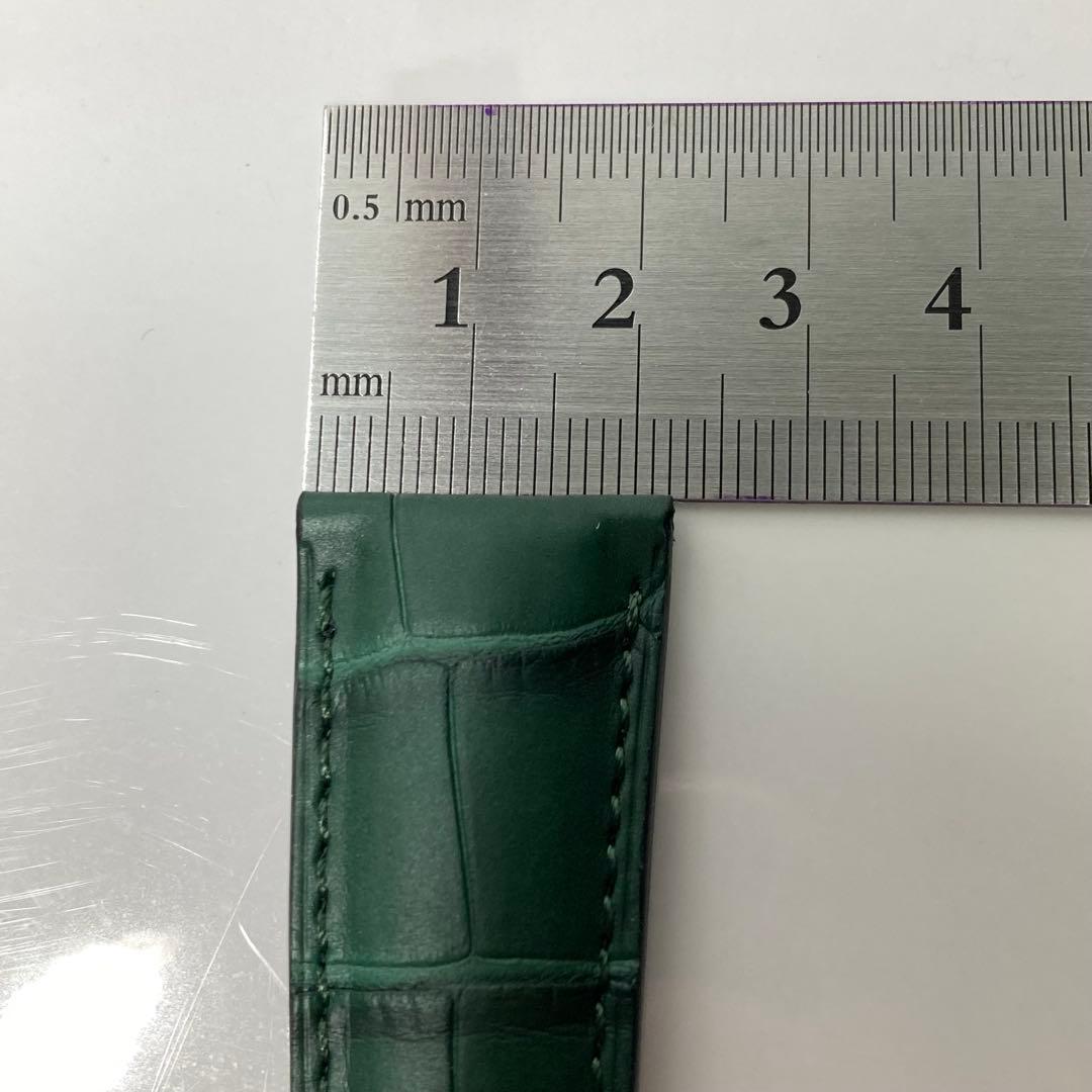 【ジャンルソー】アリゲーター竹斑ストラップ　グリーン　革ベルト　レザーベルト