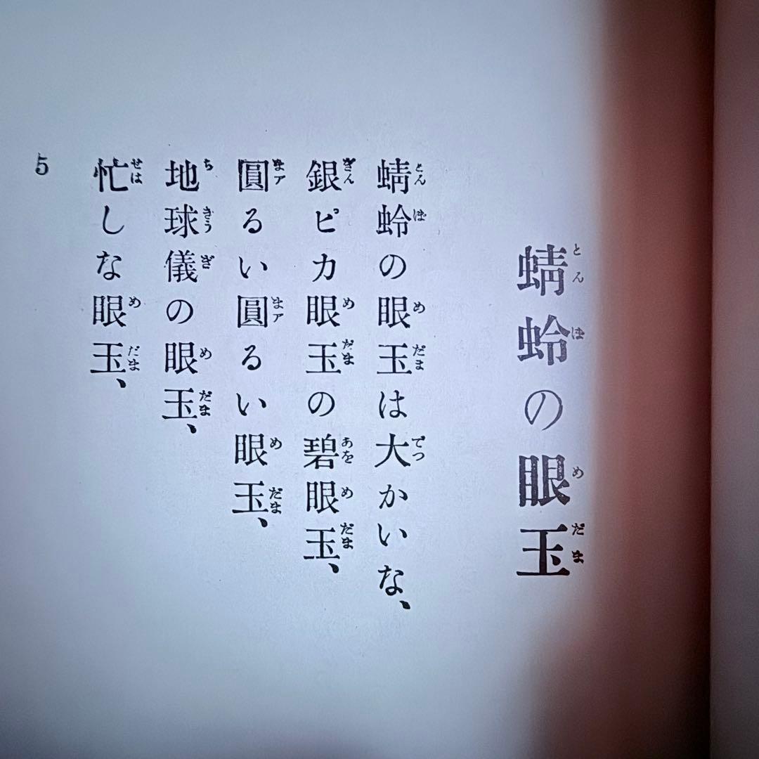 2239様感謝‼️大人読み‼️児童文学名作「名著復刻日本児童文学館第一集」ほるぷ出版