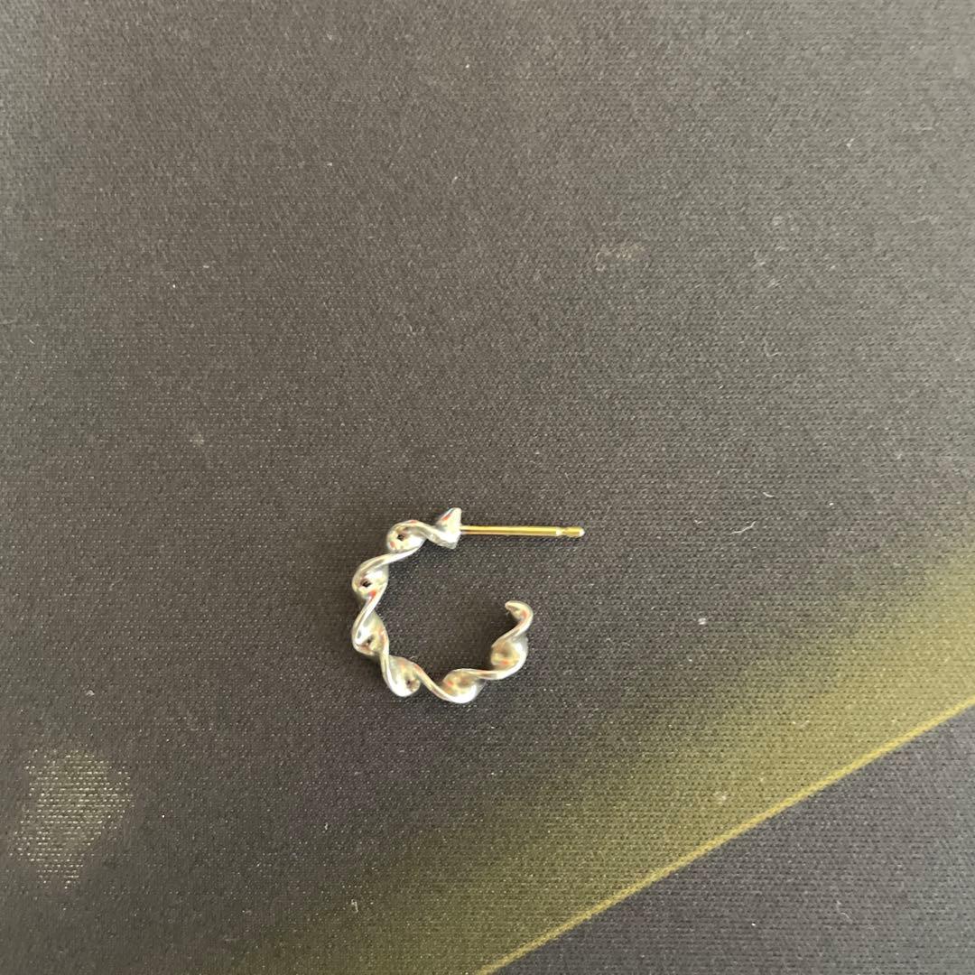 キャリアリング ワコマリア PARADISE 07 (SV) 左耳用