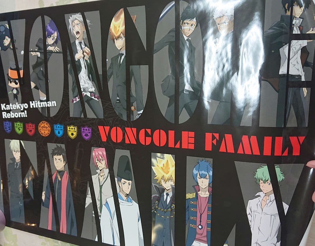 家庭教師ヒットマンREBORN！ポスター ボンゴレフェスタ2009 トンファー