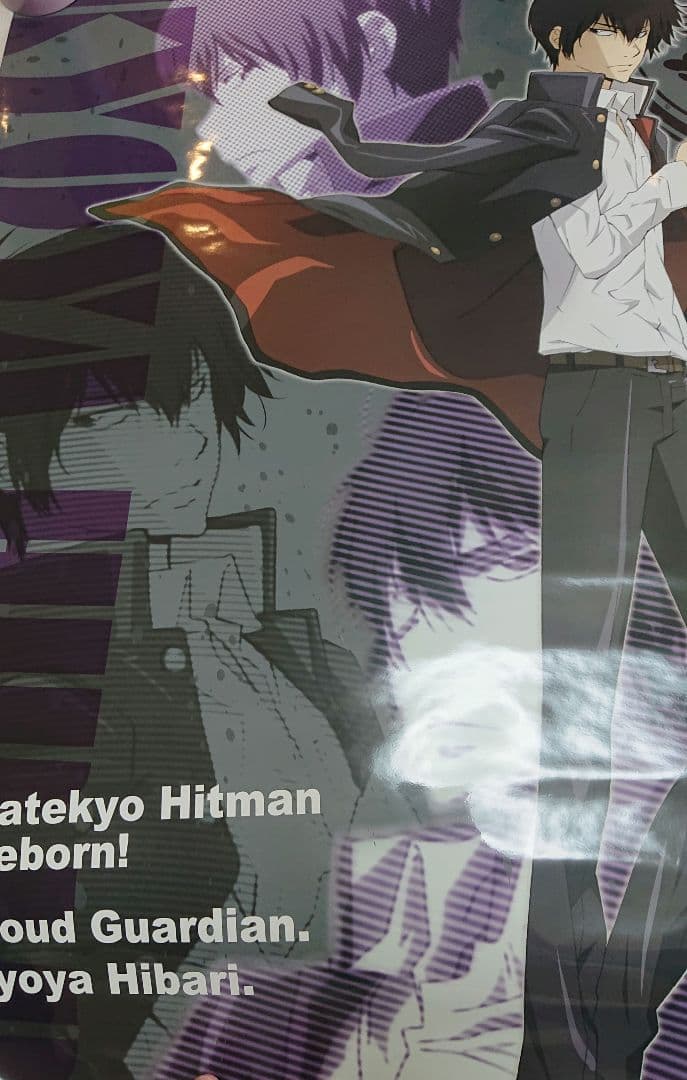 家庭教師ヒットマンREBORN！ポスター ボンゴレフェスタ2009 トンファー