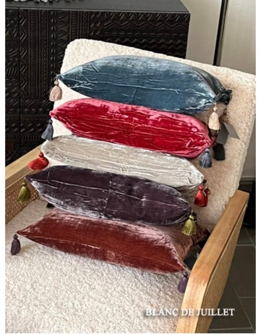 Le Monde Sauvage フリンジ付きベルベットクッション