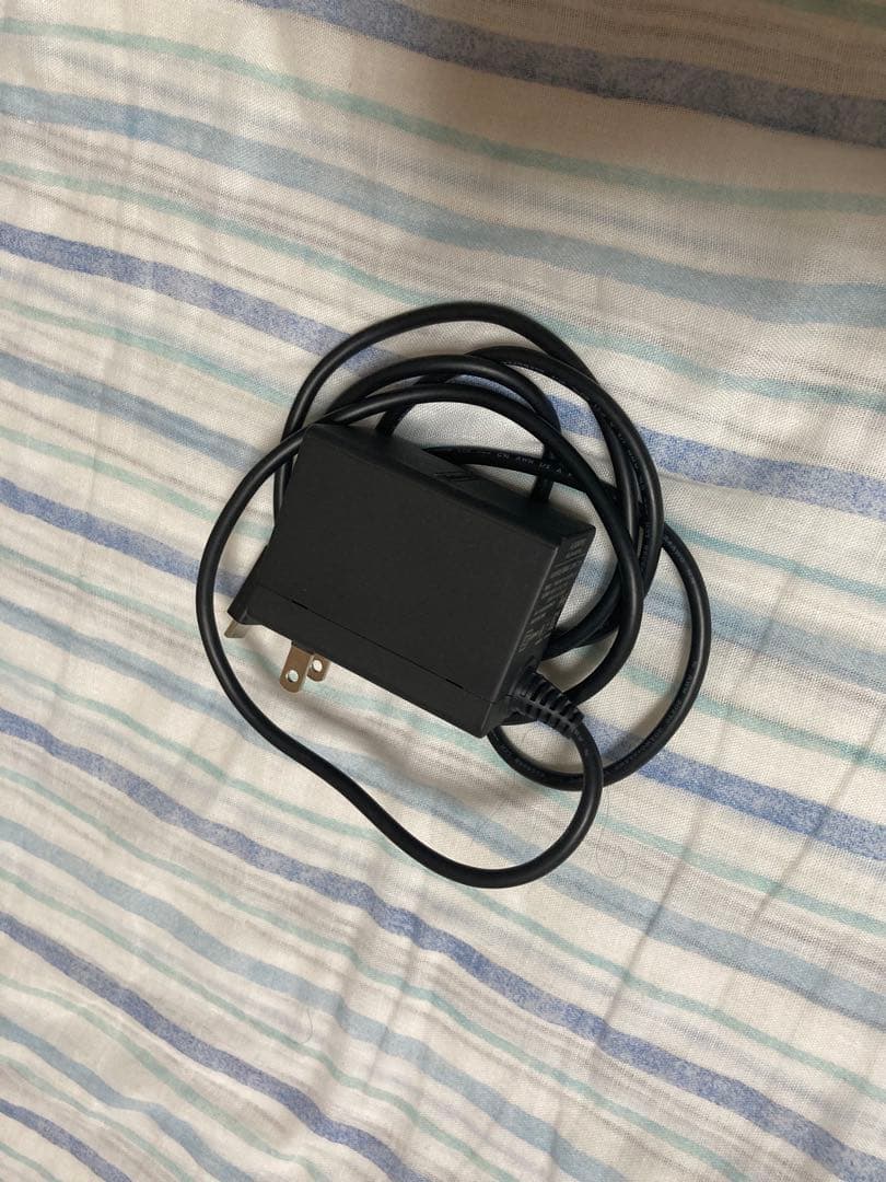 Nintendo Switch Lite Blue 本体　ニンテンドースイッチ