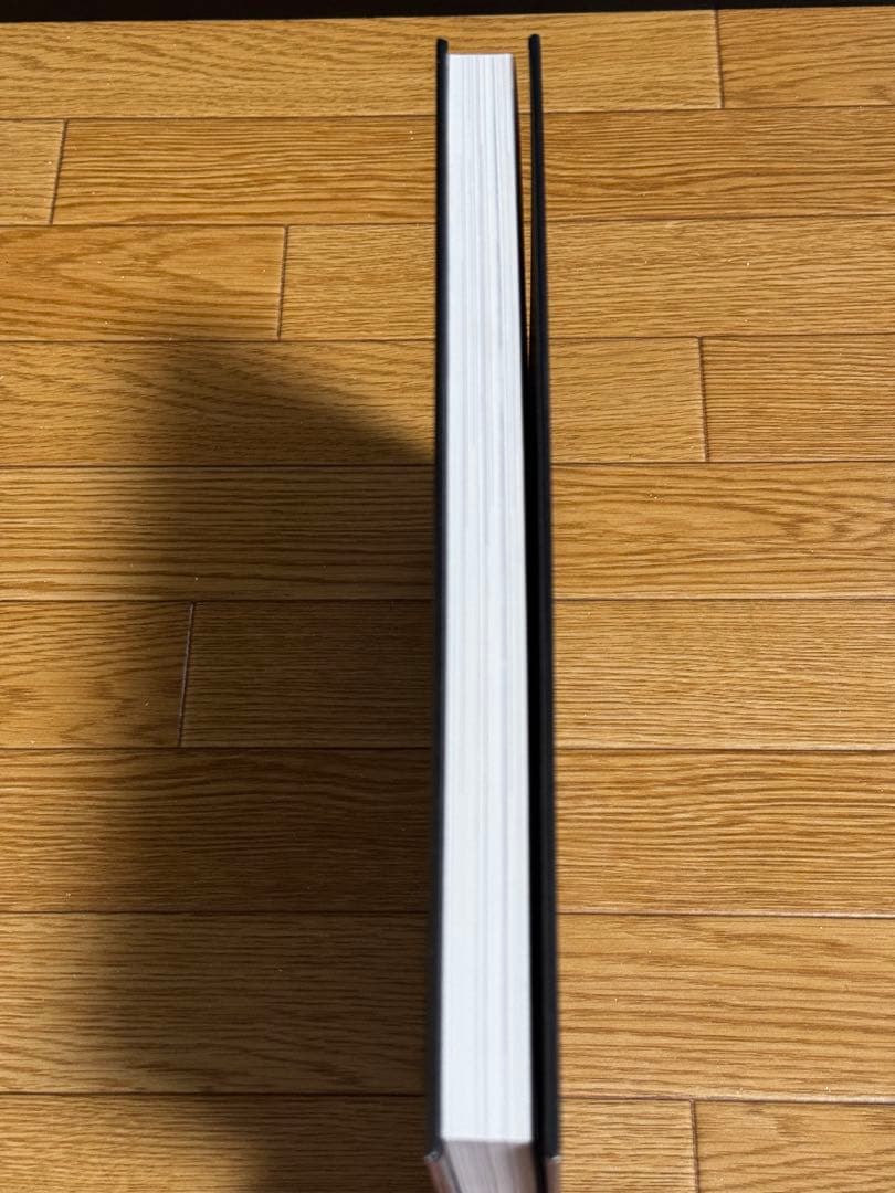 JAPAN JACKET スカジャン テーラー東洋