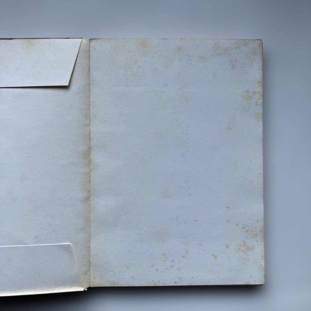 LE PETIT PRINCE 星の王子さま 洋書　フランス語