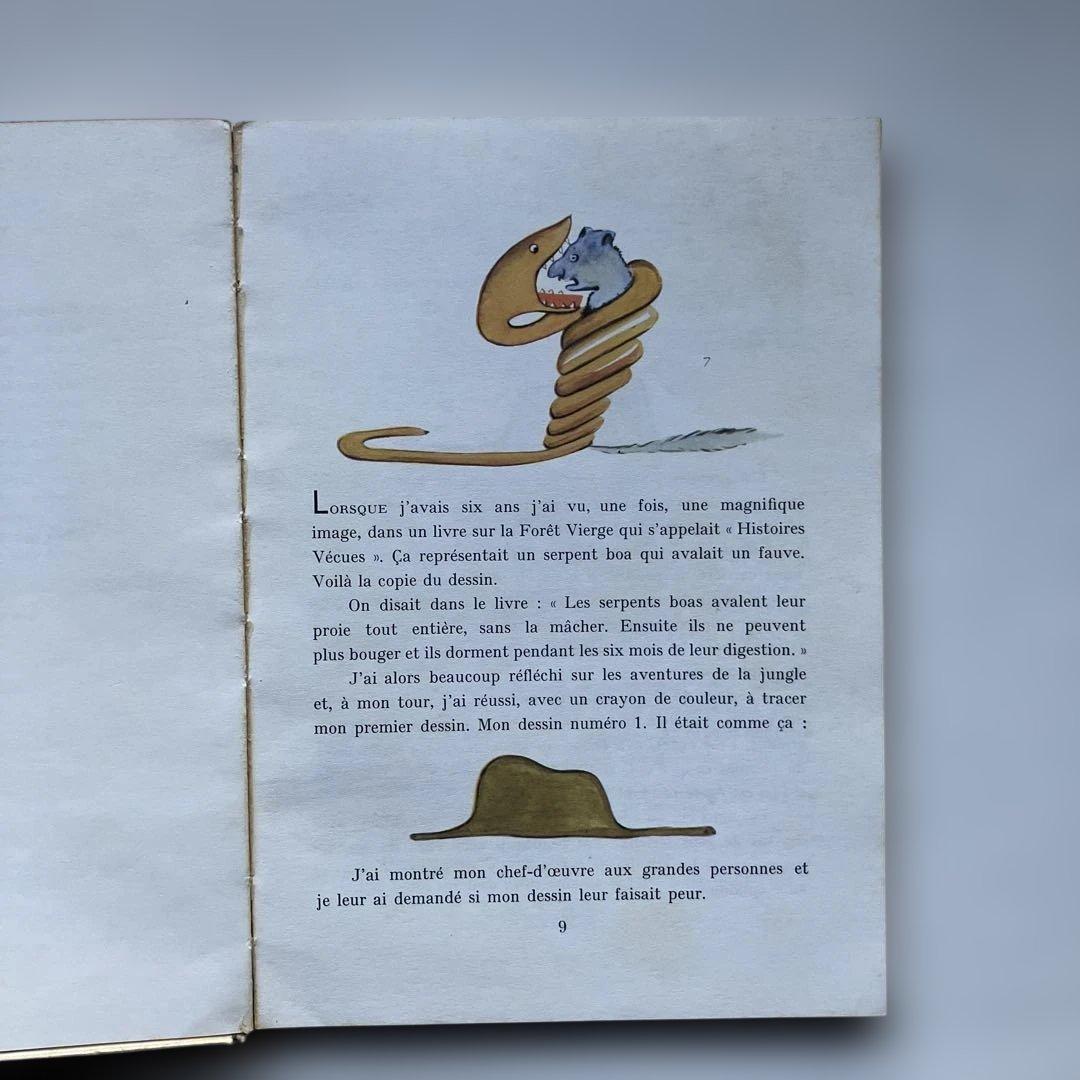 LE PETIT PRINCE 星の王子さま 洋書　フランス語