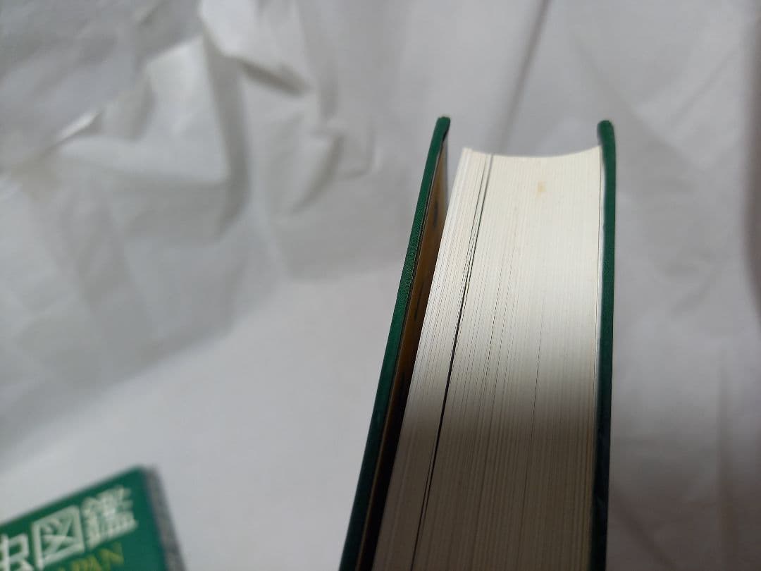 L*n様 日本産幼虫図鑑