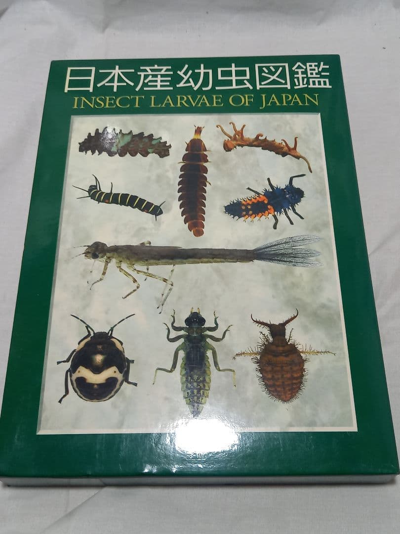 L*n様 日本産幼虫図鑑