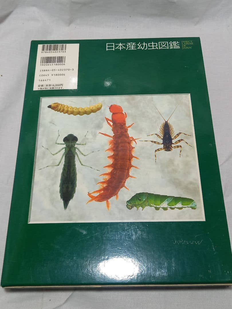 L*n様 日本産幼虫図鑑