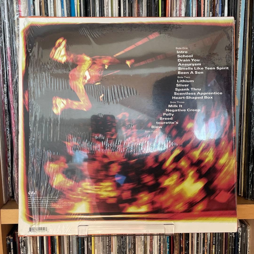 Nirvana / From The Muddy Banks Of 〜