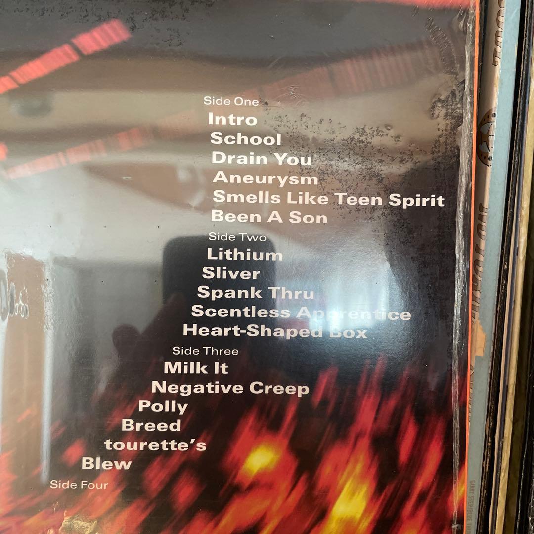 Nirvana / From The Muddy Banks Of 〜