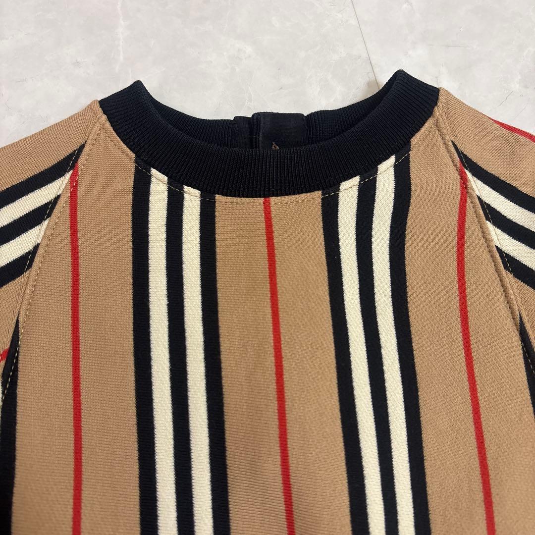 にんじん。さまおまとめ 2点