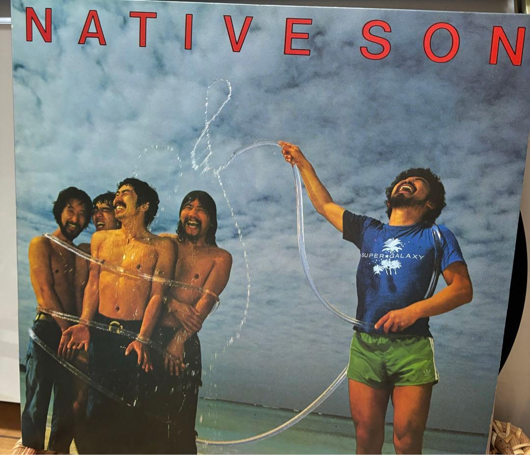 30枚おまとめセット❗️★ネイティブ・サン★レコード★