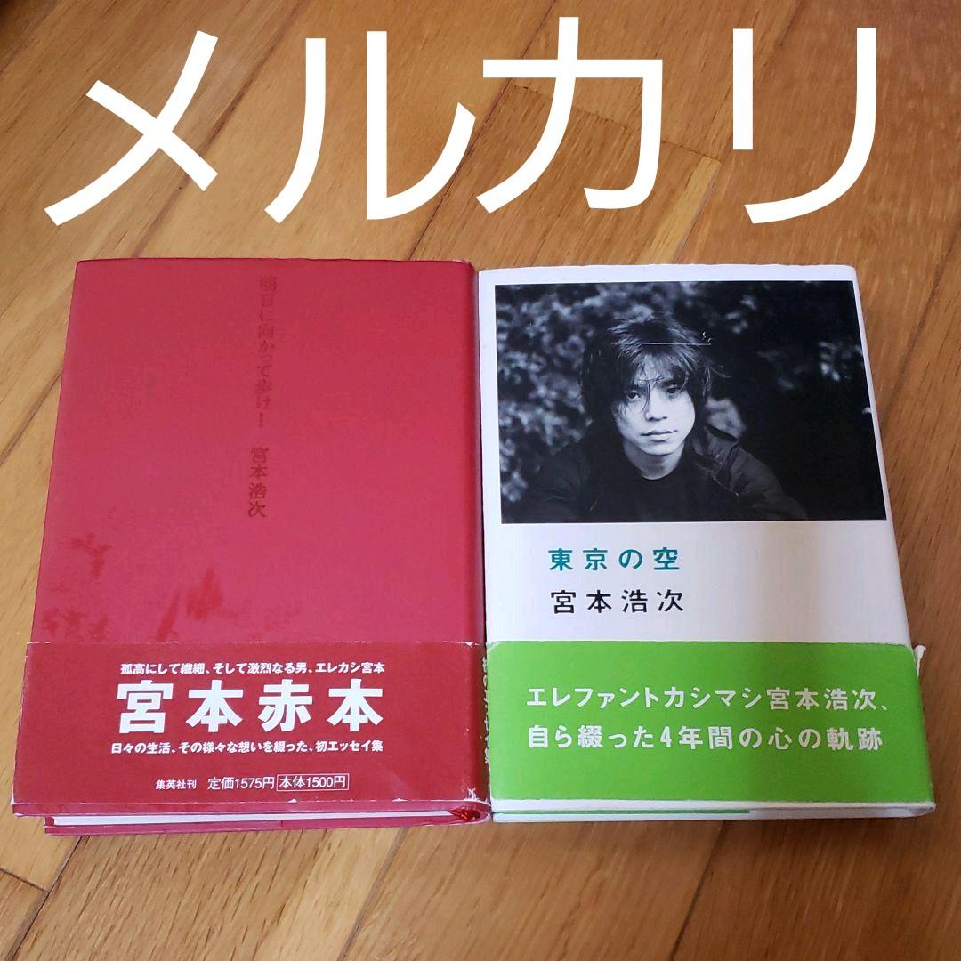 明日に向かって歩け! 東京の空 宮本浩次 エレファントカシマシ 希少