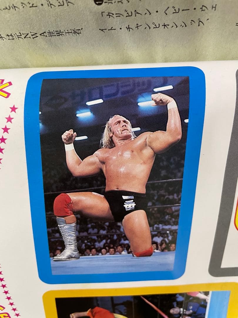 月刊プロレス 1982年 1983年 8冊　ハルクホーガン レスラー　カード