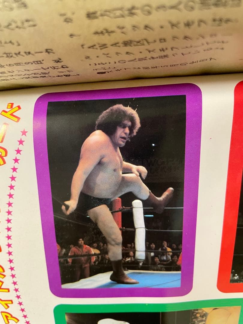 月刊プロレス 1982年 1983年 8冊　ハルクホーガン レスラー　カード