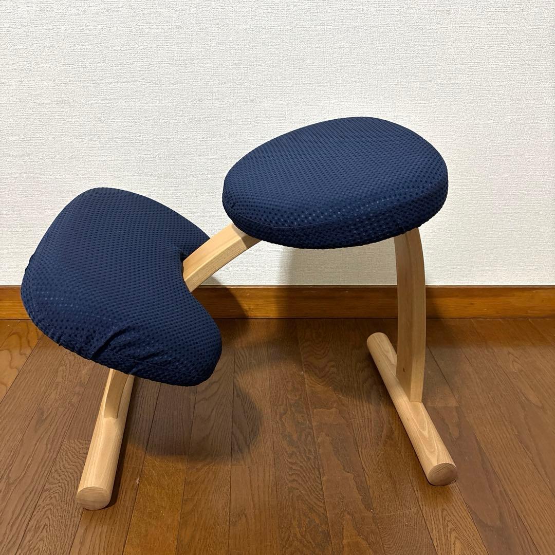 【極美品】balans Easy バランスイージー 通常フレーム オプション付き