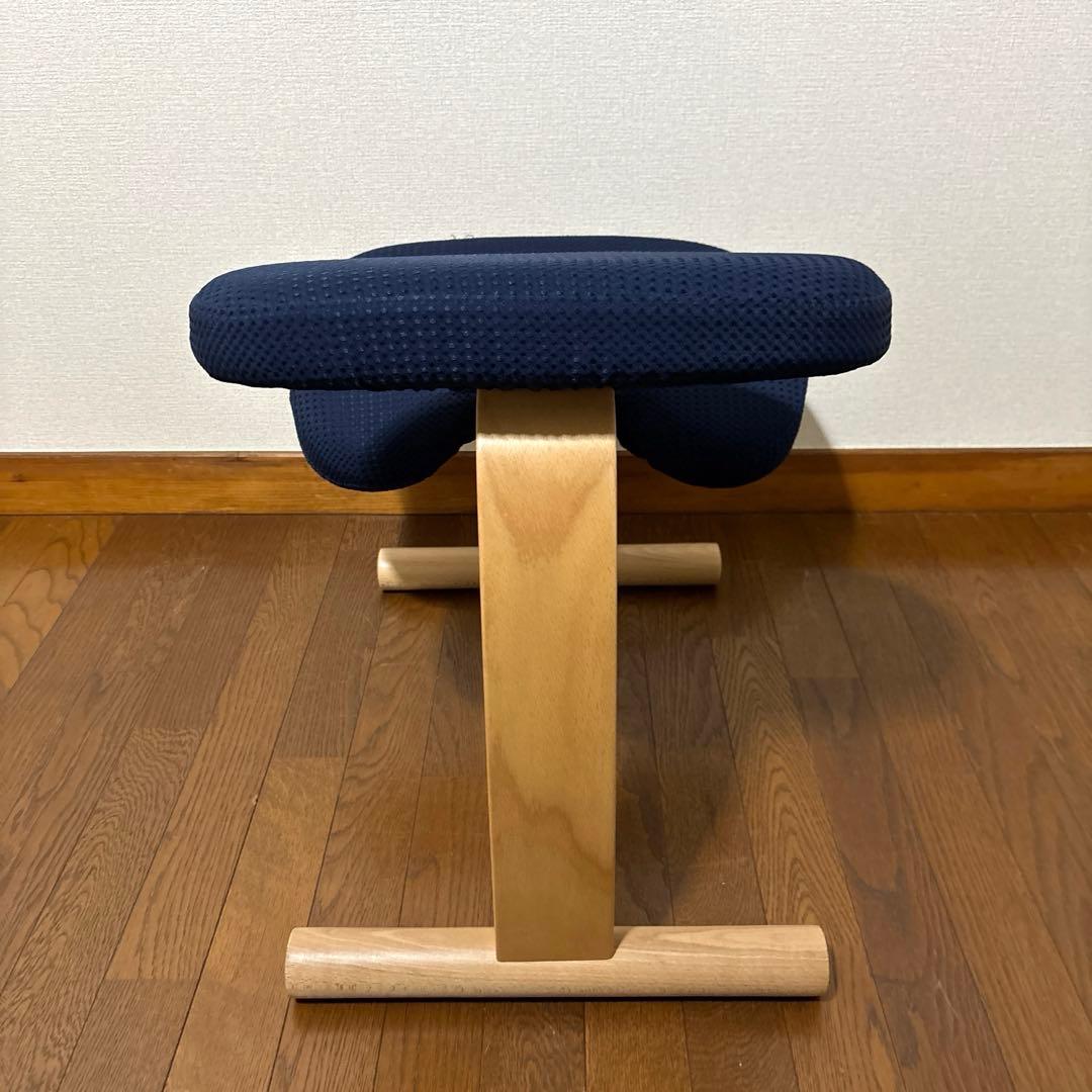 【極美品】balans Easy バランスイージー 通常フレーム オプション付き