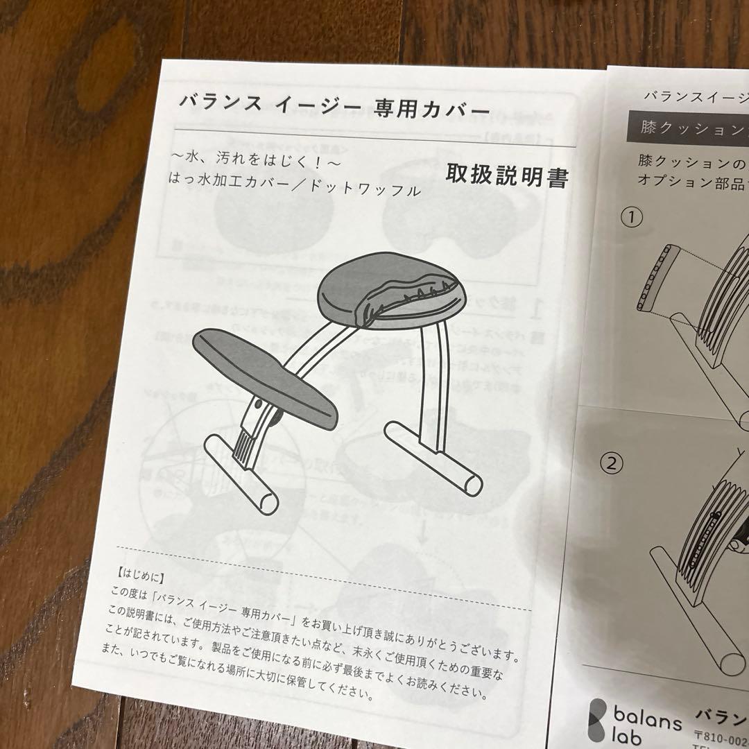 【極美品】balans Easy バランスイージー 通常フレーム オプション付き