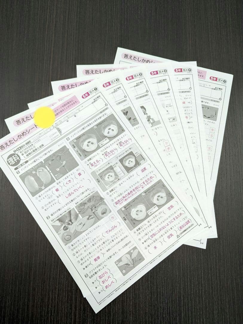 小学５年生★答えたしかめシート★国語＆算数＆社会＆理科＆英語★オマケ付き