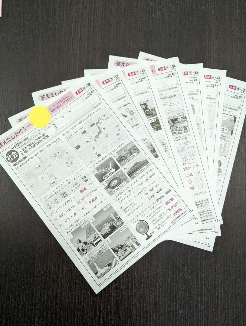 小学５年生★答えたしかめシート★国語＆算数＆社会＆理科＆英語★オマケ付き