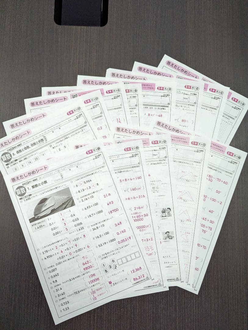 小学５年生★答えたしかめシート★国語＆算数＆社会＆理科＆英語★オマケ付き