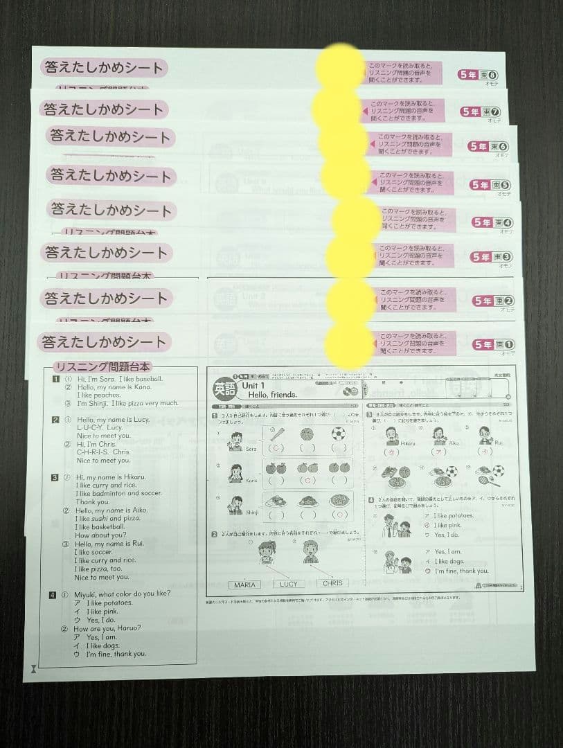 小学５年生★答えたしかめシート★国語＆算数＆社会＆理科＆英語★オマケ付き