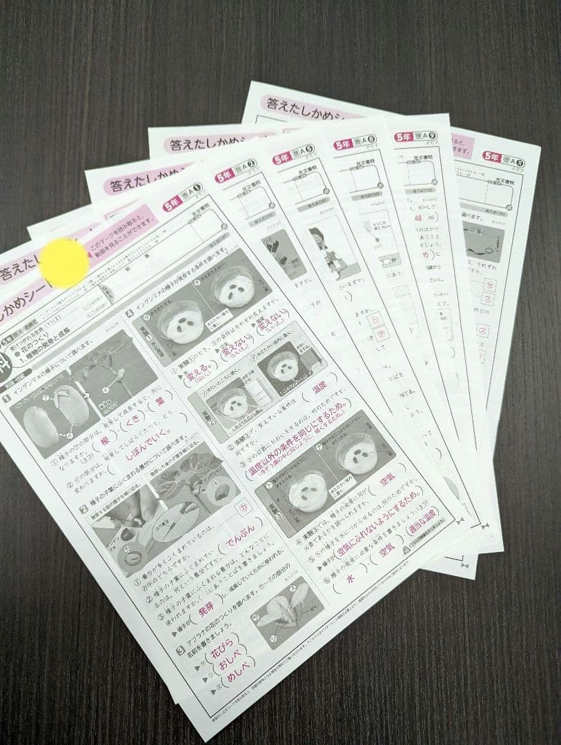 小学５年生★答えたしかめシート★国語＆算数＆社会＆理科＆英語★オマケ付き