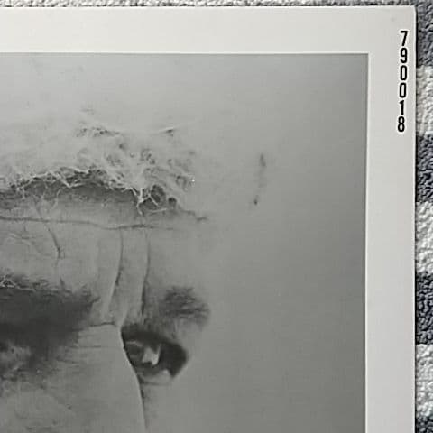 洋画 ポールニューマン映画ポスター クインテット