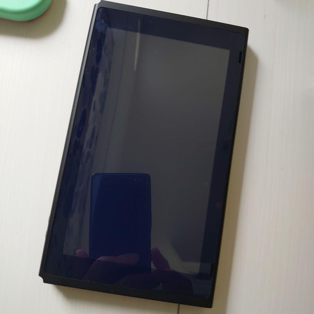 【美品】Nintendo Switchあつまれどうぶつの森セット＋携帯ケース他