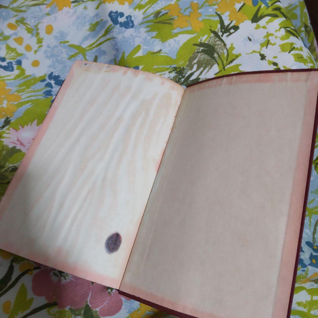 1960年 岩波ロシヤ語辞典 Русско-японский словарь