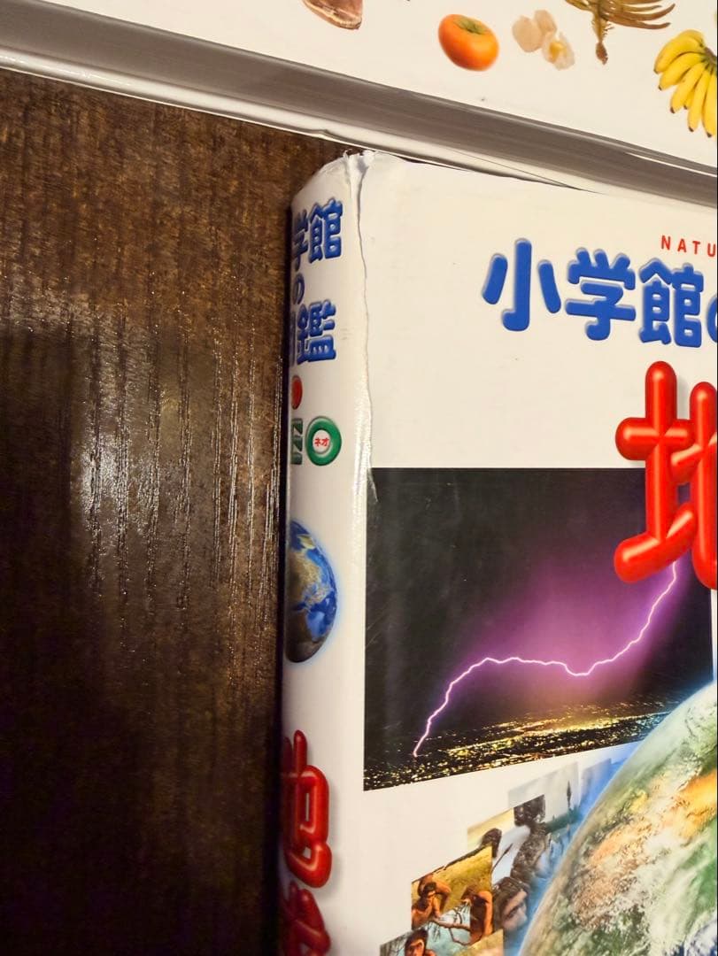 小学館の図鑑 NEO 全9冊セット