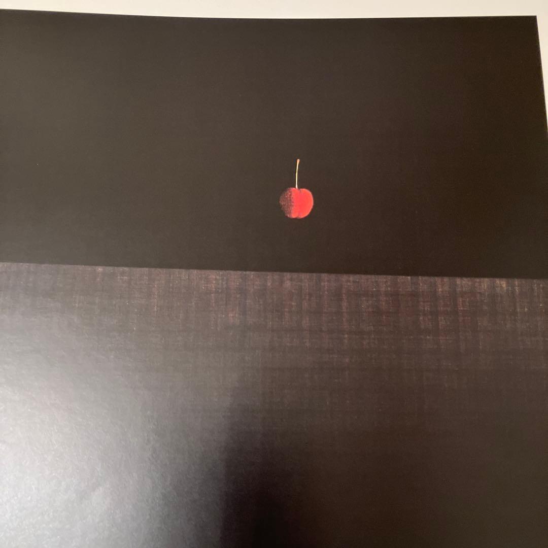 浜口陽三 銅版画 画集