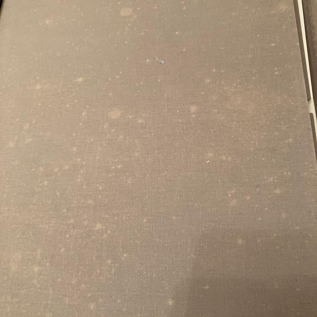 浜口陽三 銅版画 画集