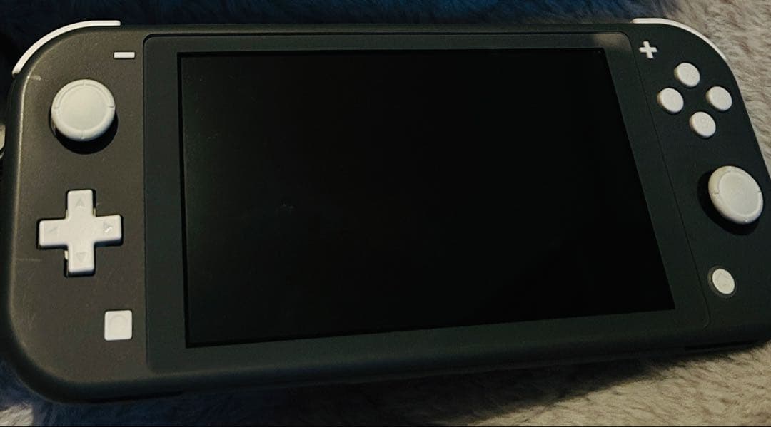 Nintendo Switch Lite(グレイ)