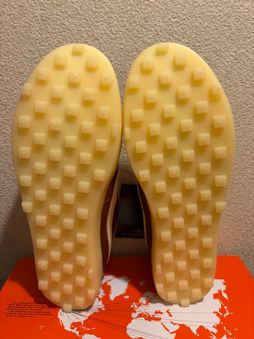 Nike Astro Grabber \"Brown\" ウィメンズ 29センチ