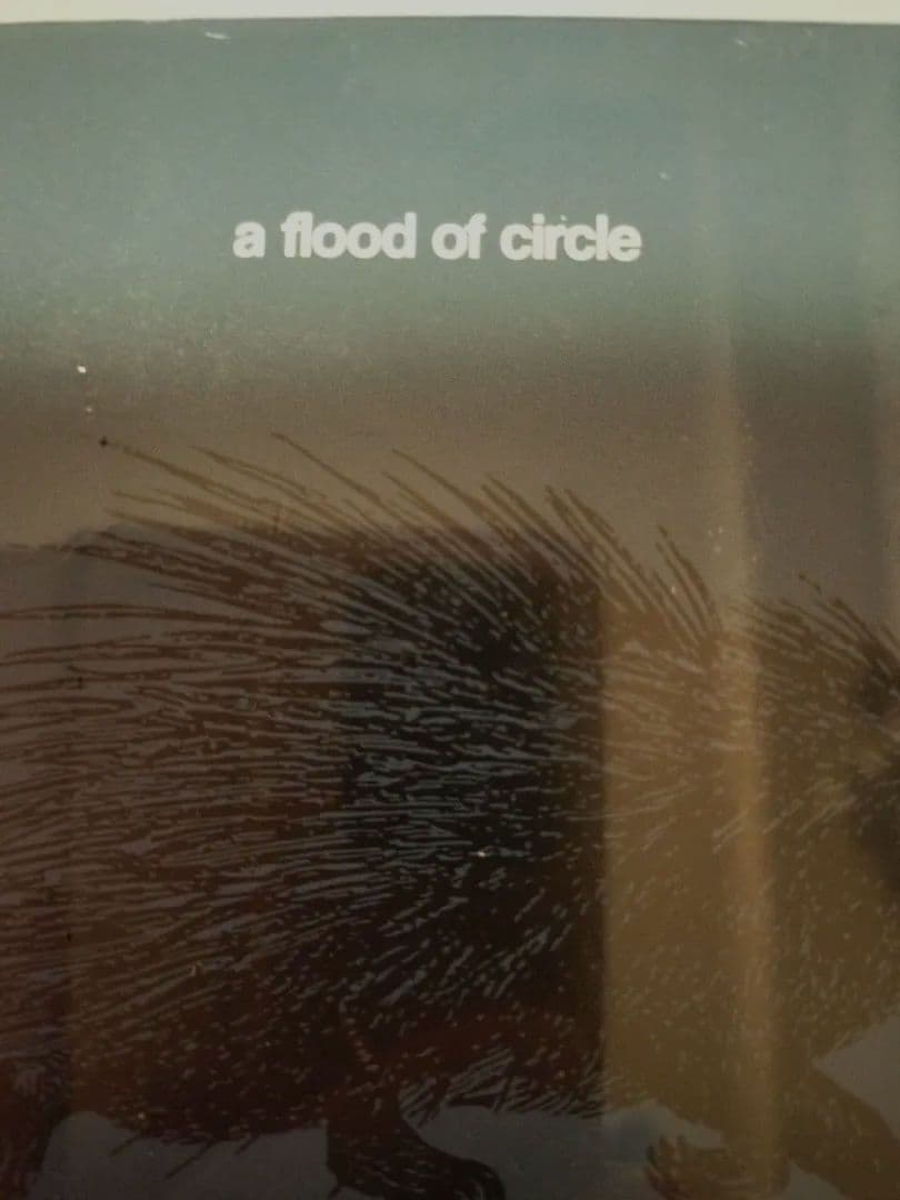 a flood of circle 伝説のBOX