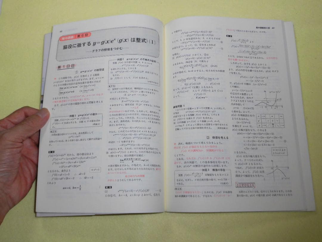 高3から始める入試対策 微分・積分集中講義　佐藤恒雄　旺文社