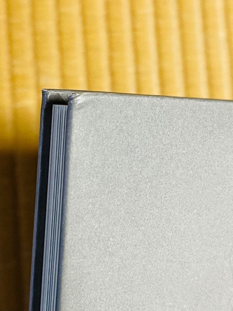 アート・デザイン・音楽 Derek Ridgers / London Youth 78-87