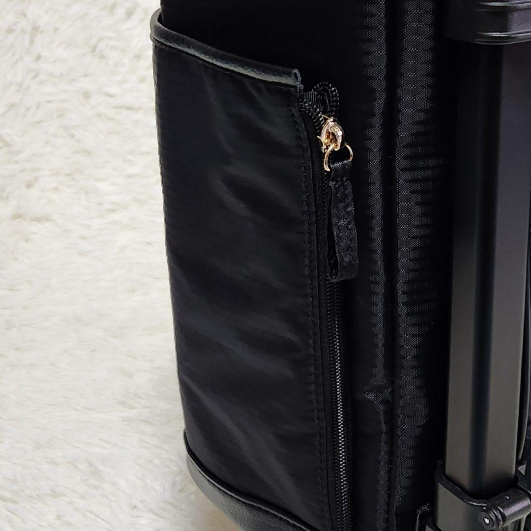 【極美品】SWANY オリジナルスワニー ウォーキングカート ブラック