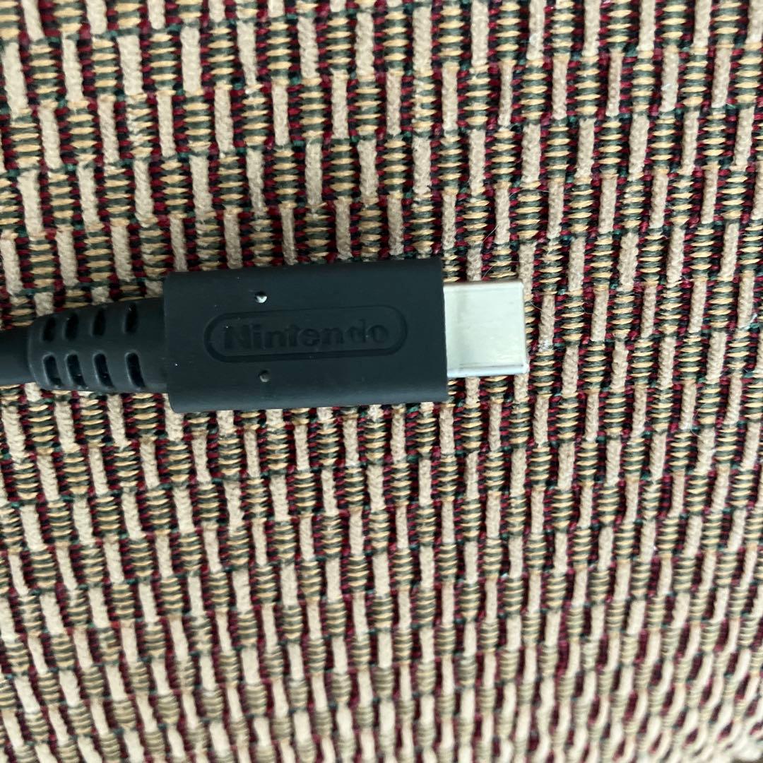 Nintendo Switch Lite コーラル 本体 充電器 ケース