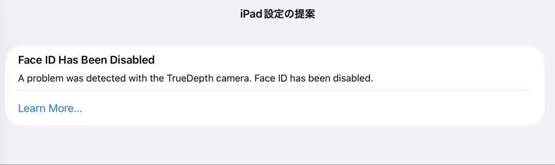 iPad Pro 11インチ (第2世代) 256GB