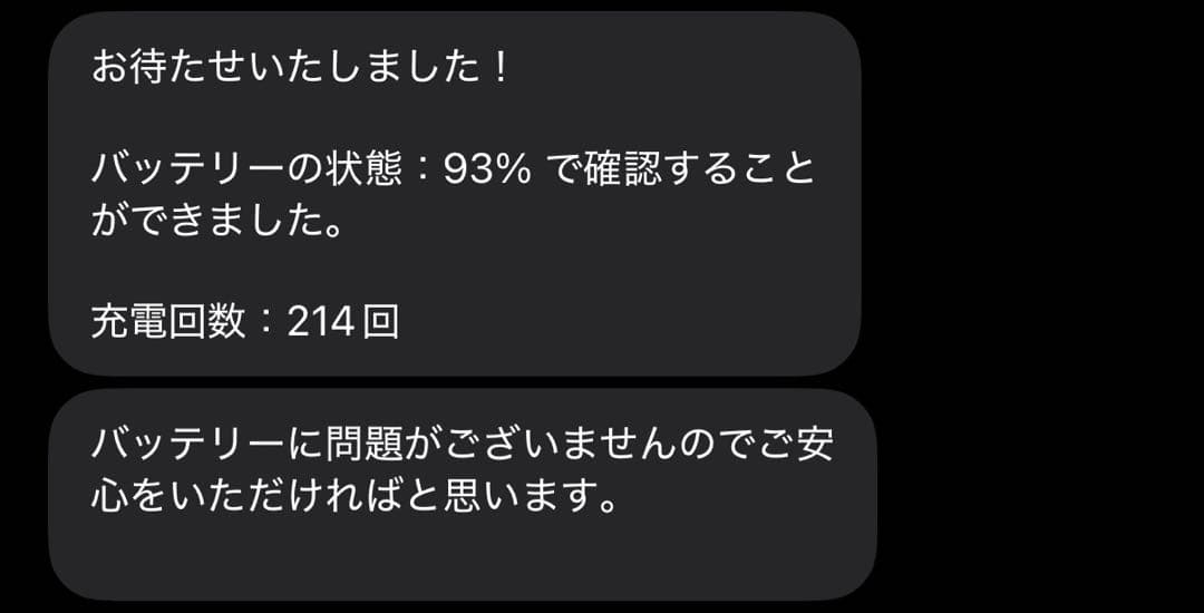 iPad Pro 11インチ (第2世代) 256GB