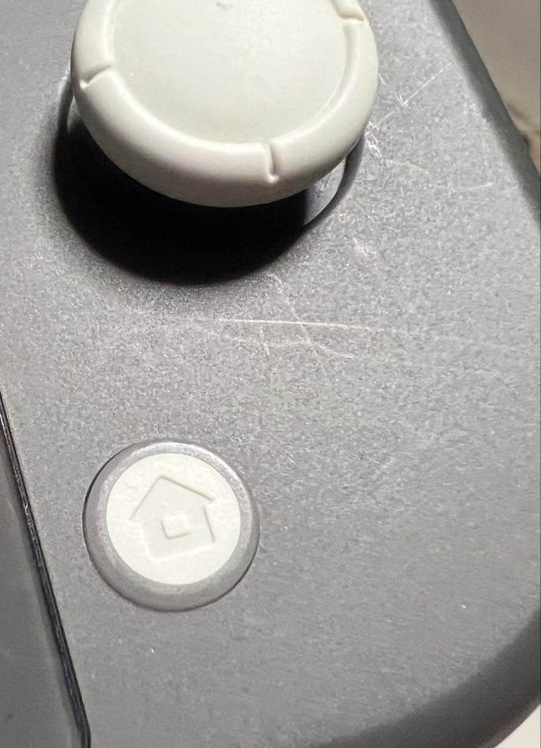 Nintendo Switch Lite グレー 本体 充電器、外箱あり