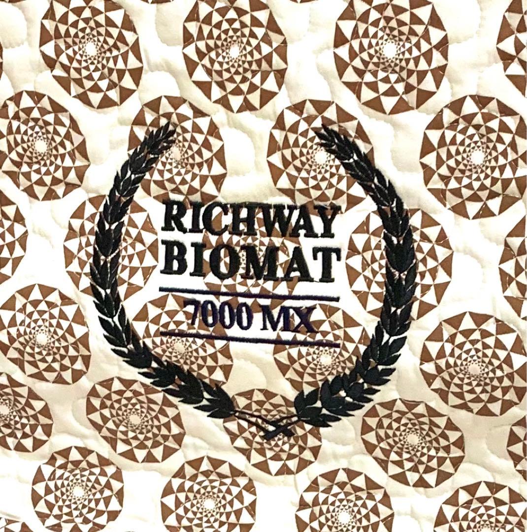 正規品RICHWAY バイオマット 7000mx プロフェッショナル アメジスト